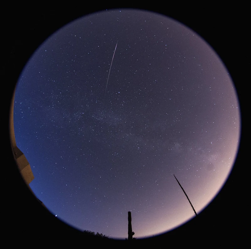Hunting the Elusive Eta Aquariid Meteors