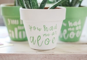 Custom painted aloe planters